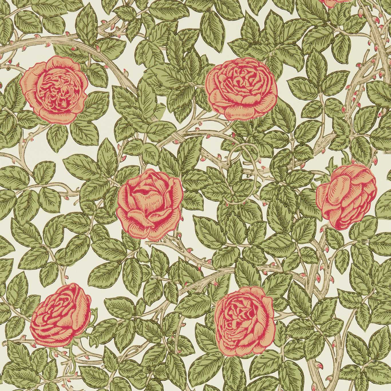 Rambling Rose Twining Vine Wallpaper MEWW217207 by Morris & Co