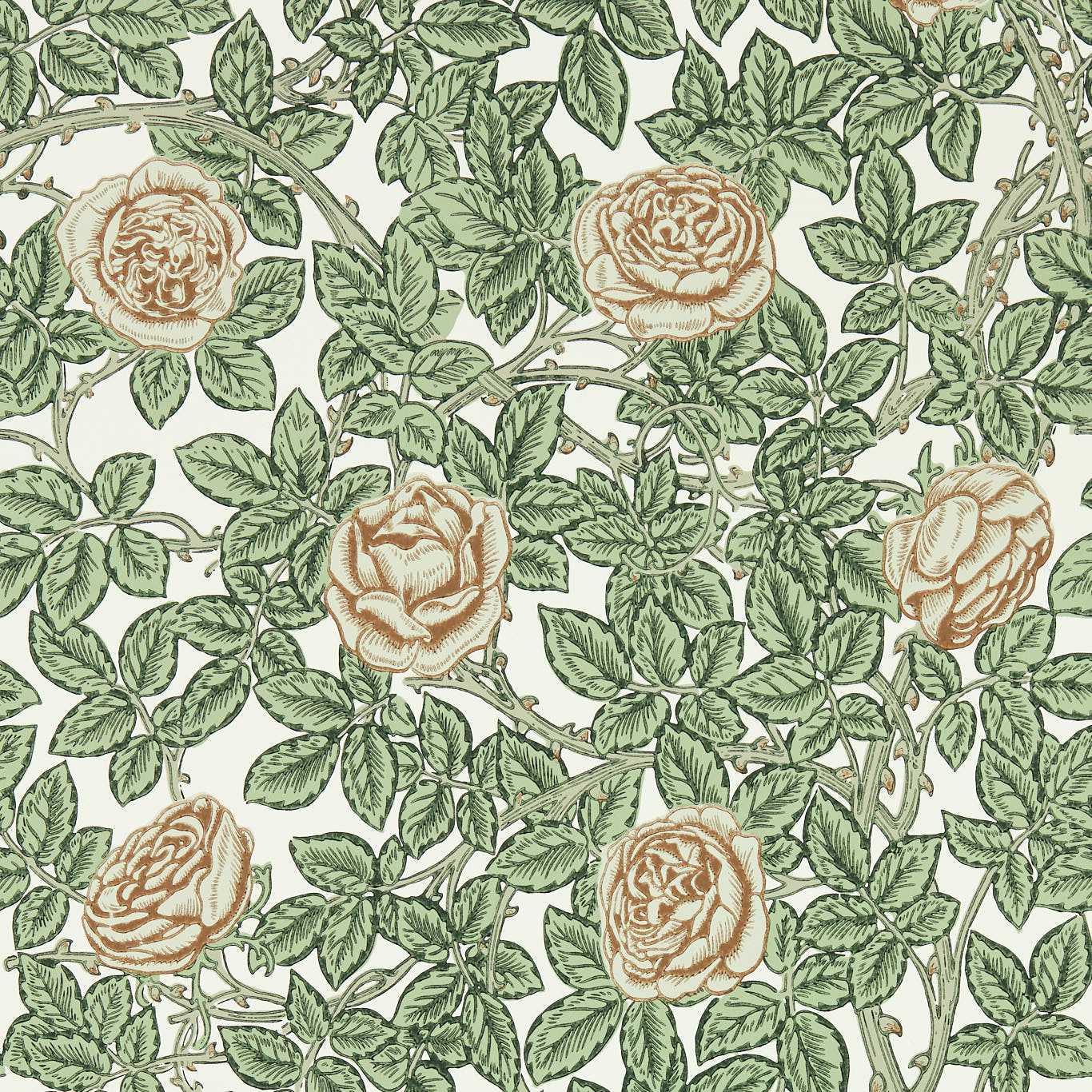Rambling Rose Leafy Arbour/Pearwood Wallpaper MEWW217208 by Morris & Co