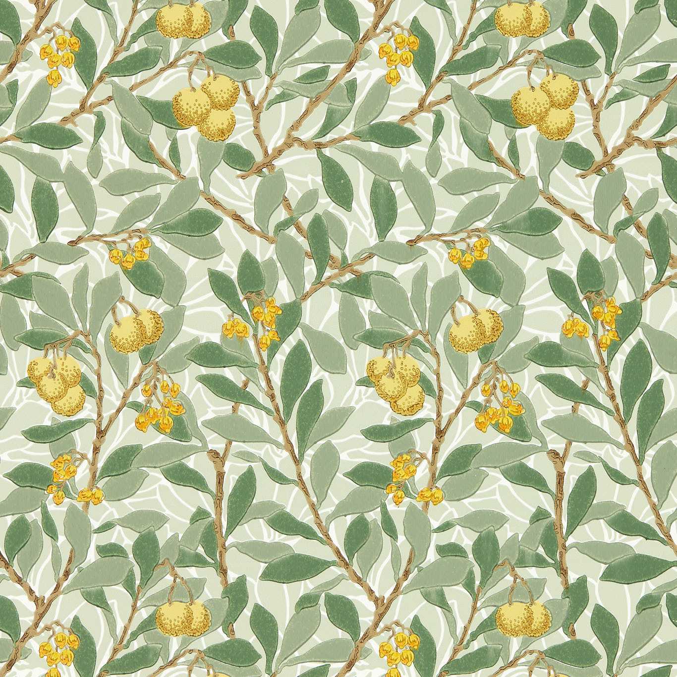Arbutus Sage/Lemon Wallpaper MFRW217356 by Morris & Co