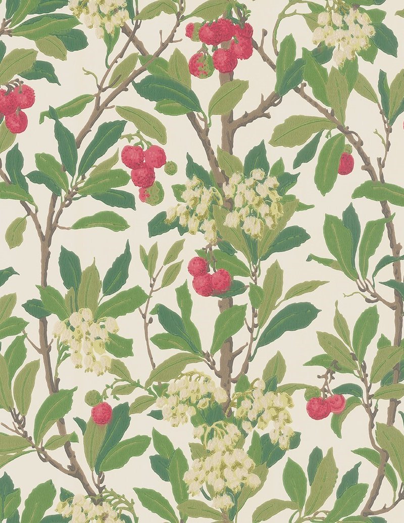 Strawberry Tree Wallpaper 100-10049 by Cole & Son