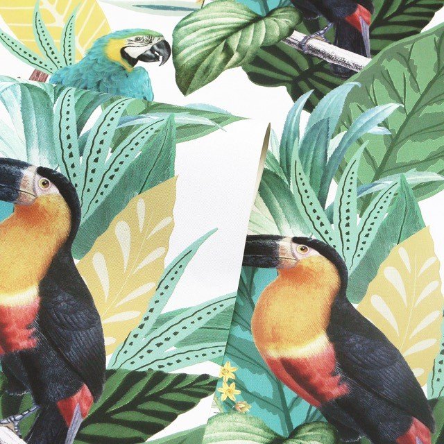 Toucan Jungle Wallpaper 296803 by Arthouse