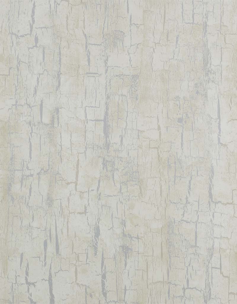 Tree Bark Wallpaper W0062/04 by Clarke & Clarke