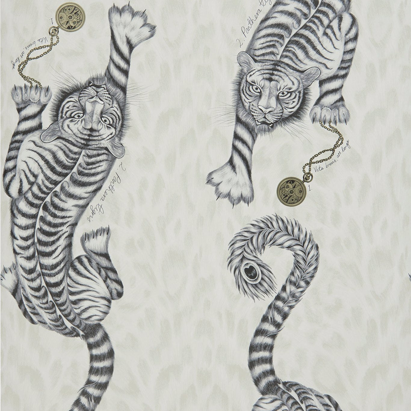 Tigris Monochrome Wallpaper W0105/02 by Emma Shipley