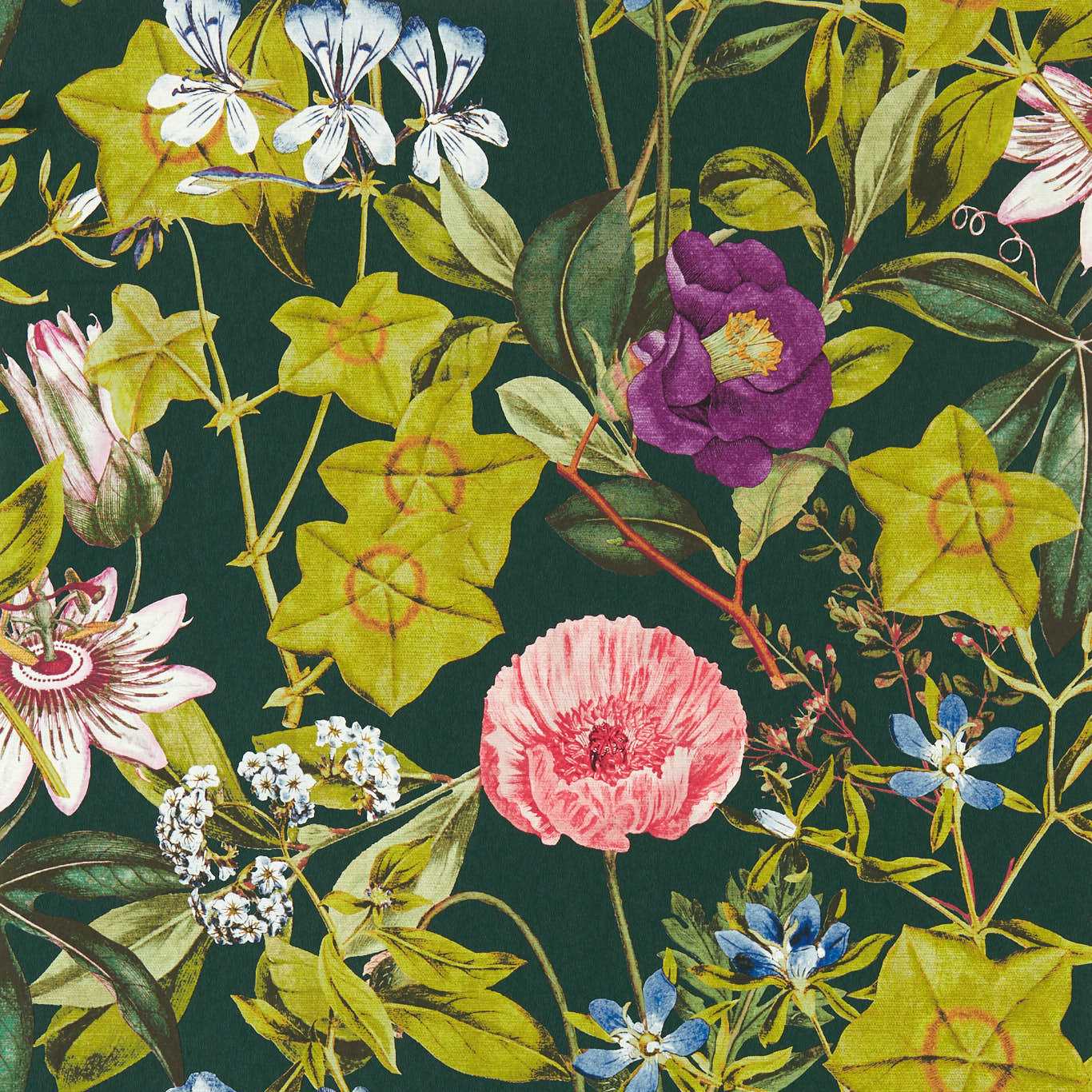 Passiflora Emerald Wallpaper W0143/02 by Clarke & Clarke