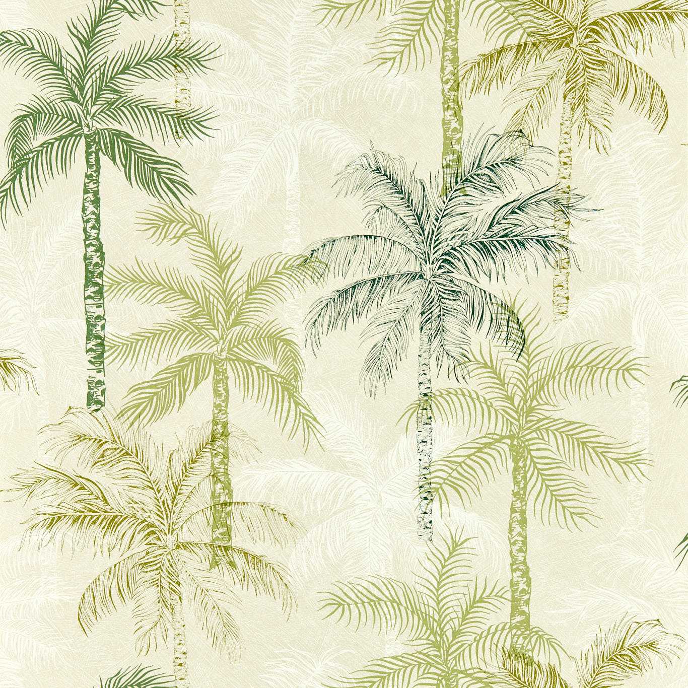 Palmyra Palm Wp Palm Wallpaper W0189/04 by Clarke & Clarke