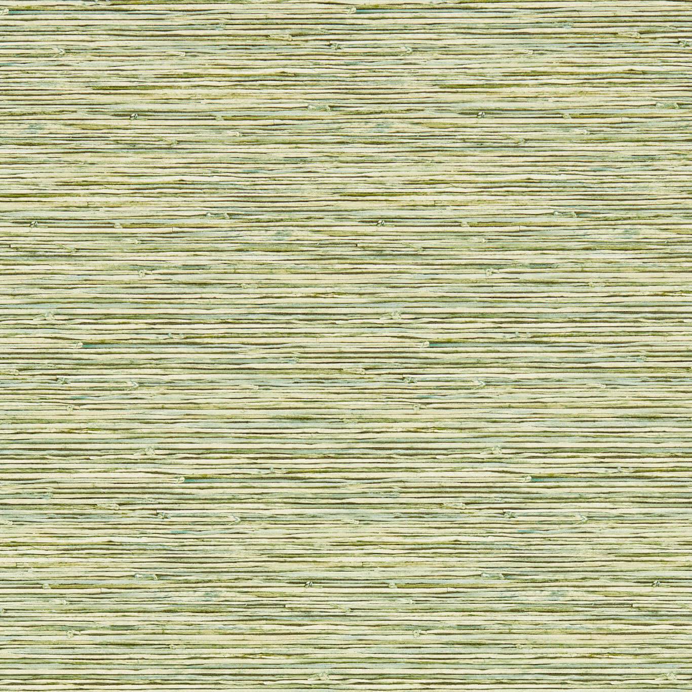 Xan Palm Wp Palm Wallpaper W0192/04 by Clarke & Clarke