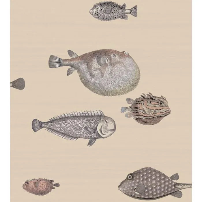 Acquario Wallpaper 114-16033 by Cole & Son SKU 114/16033 - Clearance