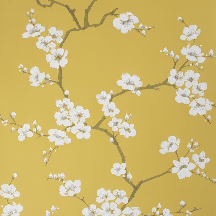 Apple Blossom Wallpaper 108289 by Fresco
