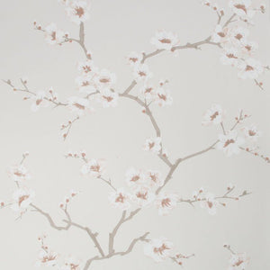 Apple Blossom Wallpaper 108291 by Fresco