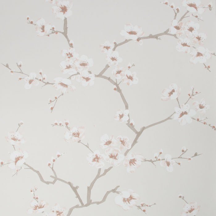 Apple Blossom Wallpaper 108291 by Fresco