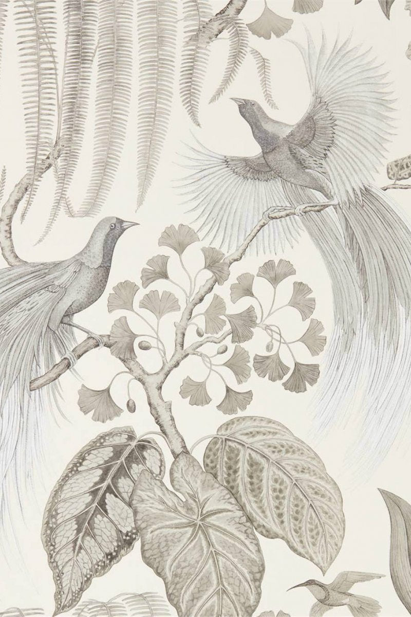 Bird Of Paradise Wallpaper DGLW216652 by Sanderson