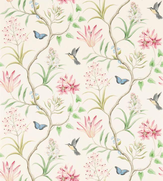 Clementine Wallpaper DVOY213388 by Sanderson SKU DVOY213388 - Clearance