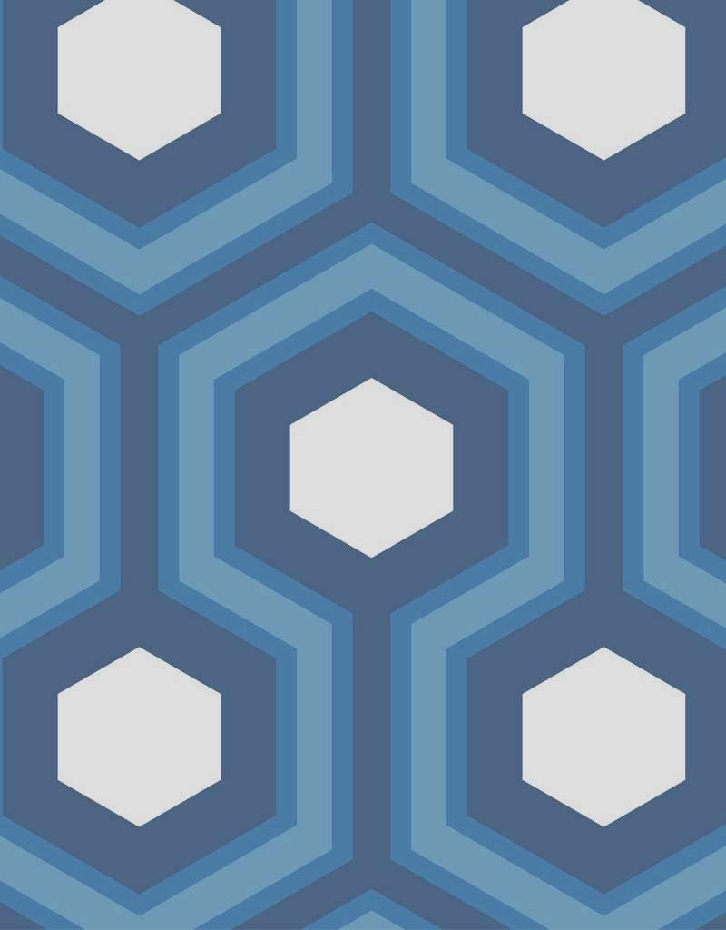 Cole And Son Hicks Grand Wallpaper 95-6035 by Cole & Son