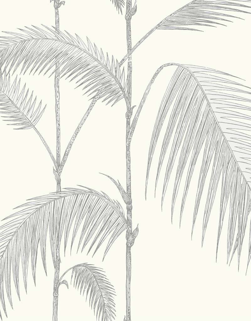 Cole And Son Palm Wallpaper 95-1008 by Cole & Son