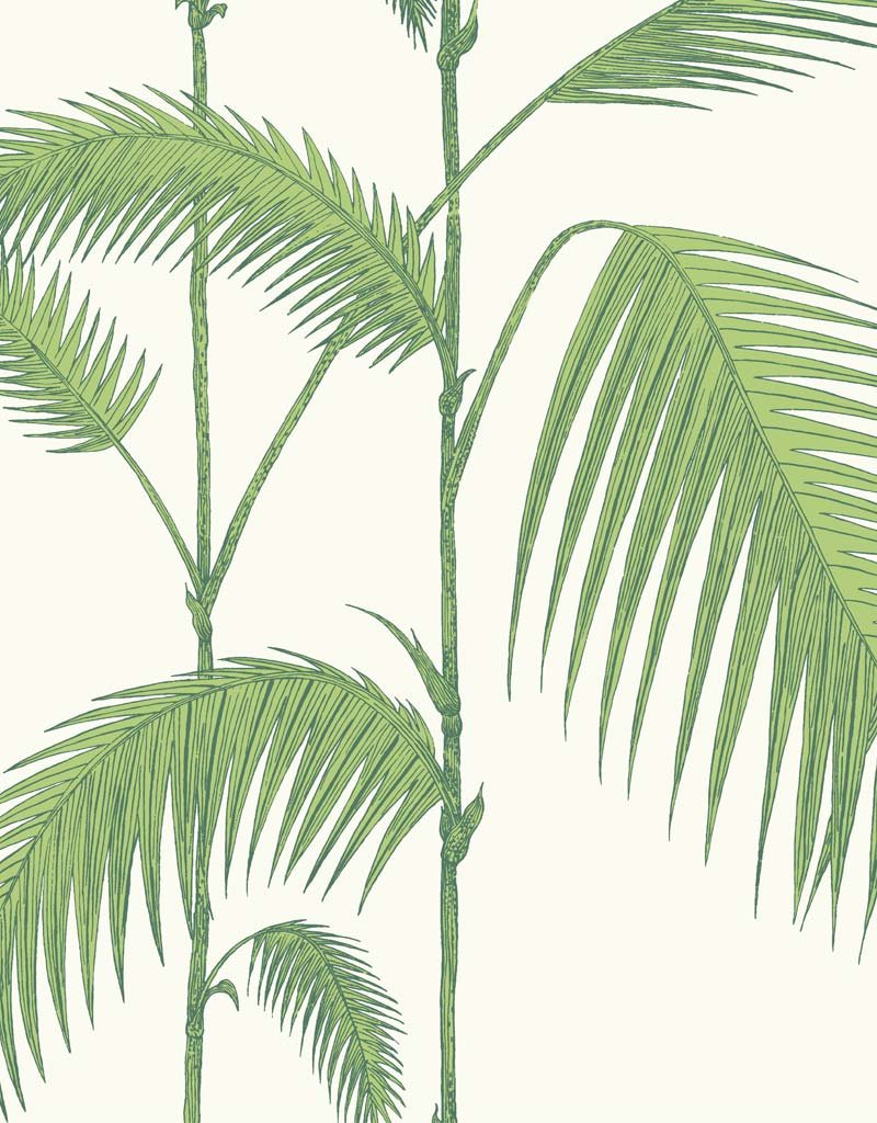 Cole And Son Palm Wallpaper 95-1009 by Cole & Son