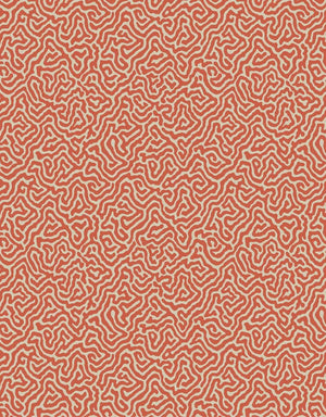 Cole And Son Vermicelli Wallpaper 107-4018 by Cole & Son