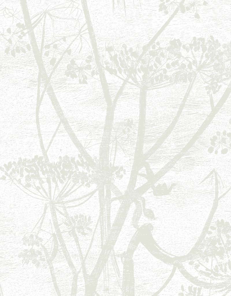 Cow Parsley Restyled Wallpaper 95-9052 by Cole & Son