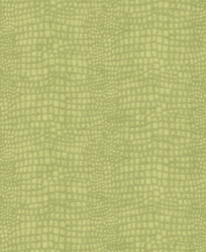 Crocodile Wallpaper 32-663 by Superfresco Easy