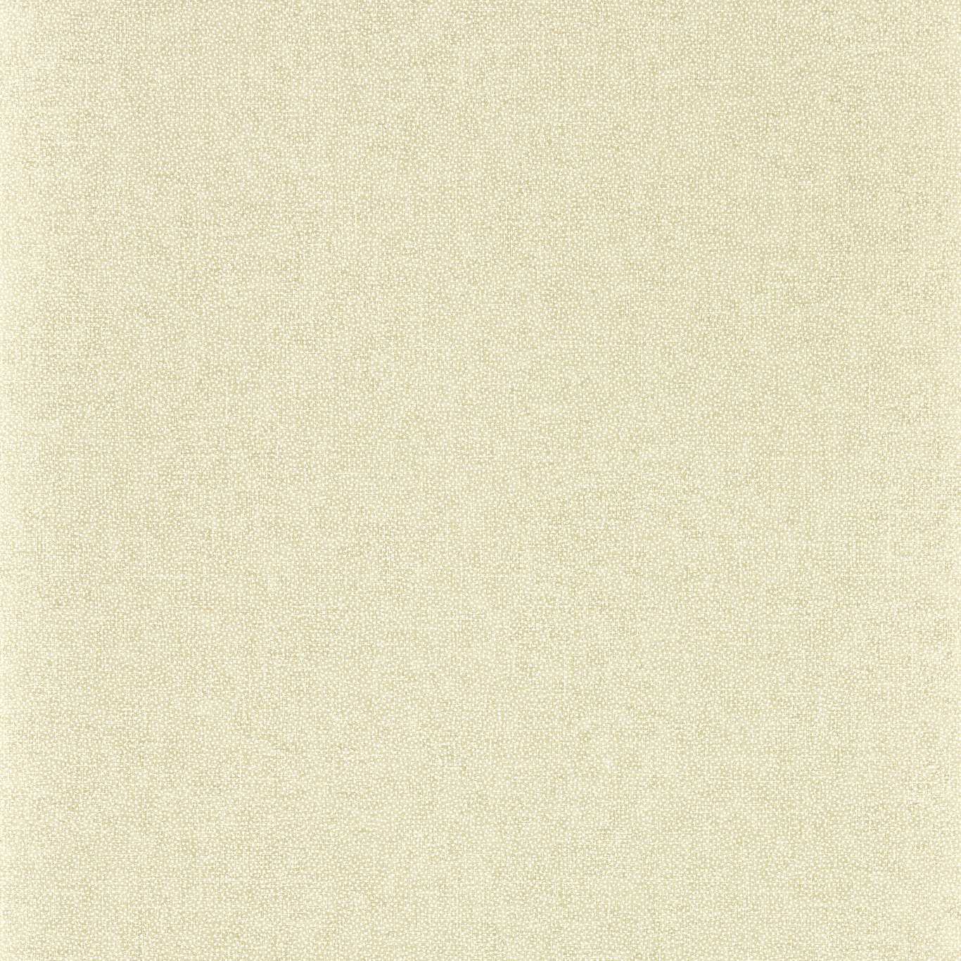 Sessile Plain Birch/Multi Wallpaper DABW217246 by Sanderson