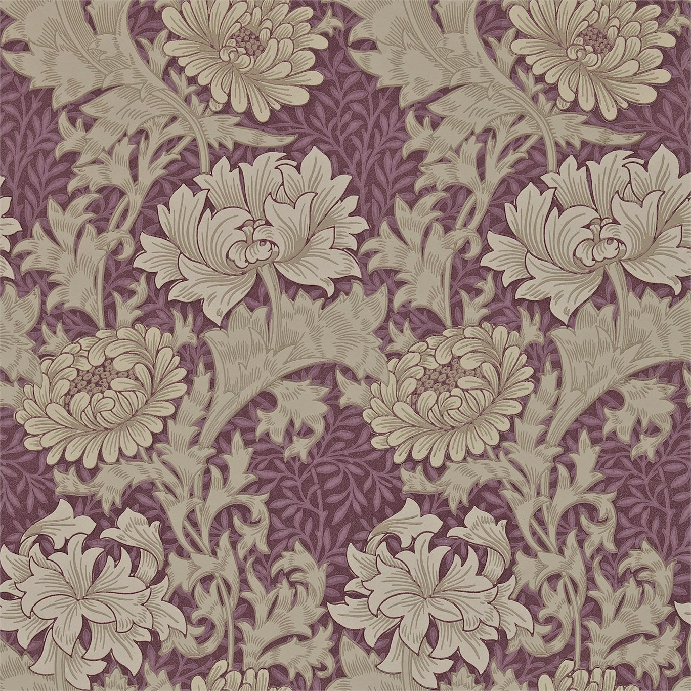 Chrysanthemum Wine Wallpaper DARW212548 by Morris & Co