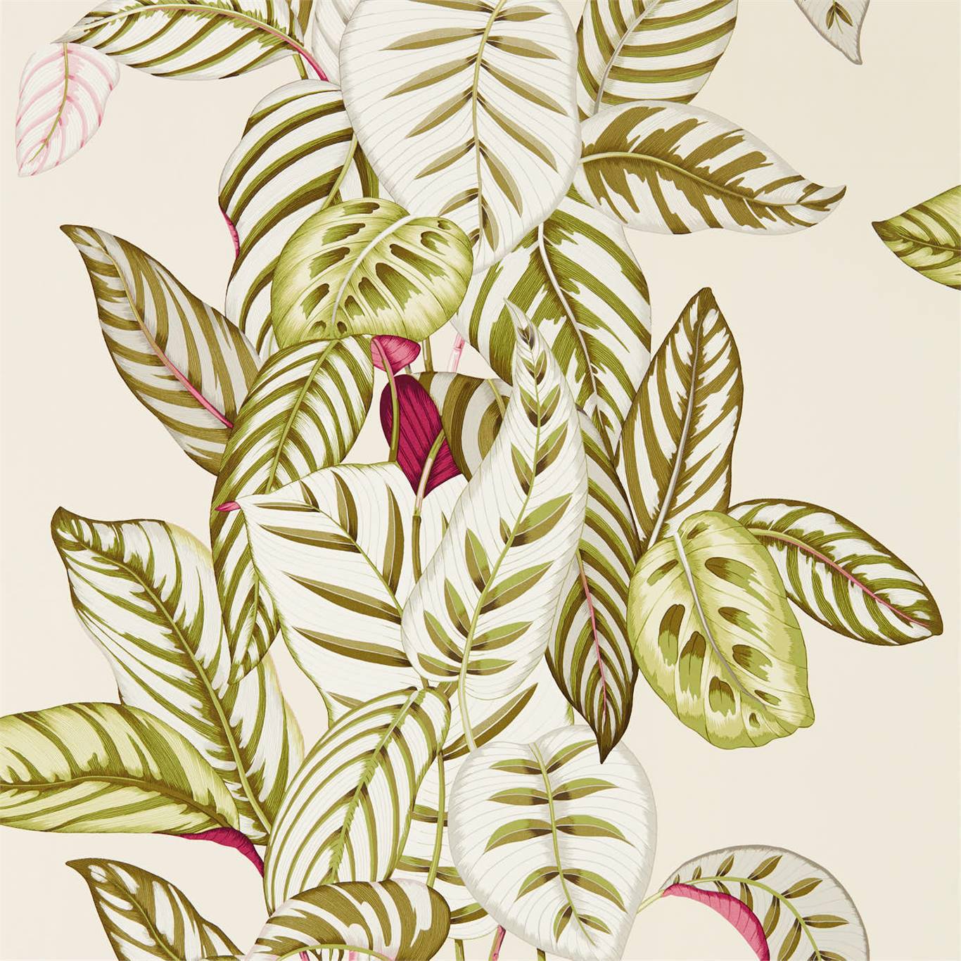 Calathea Olive Wallpaper DGLW216631 by Sanderson