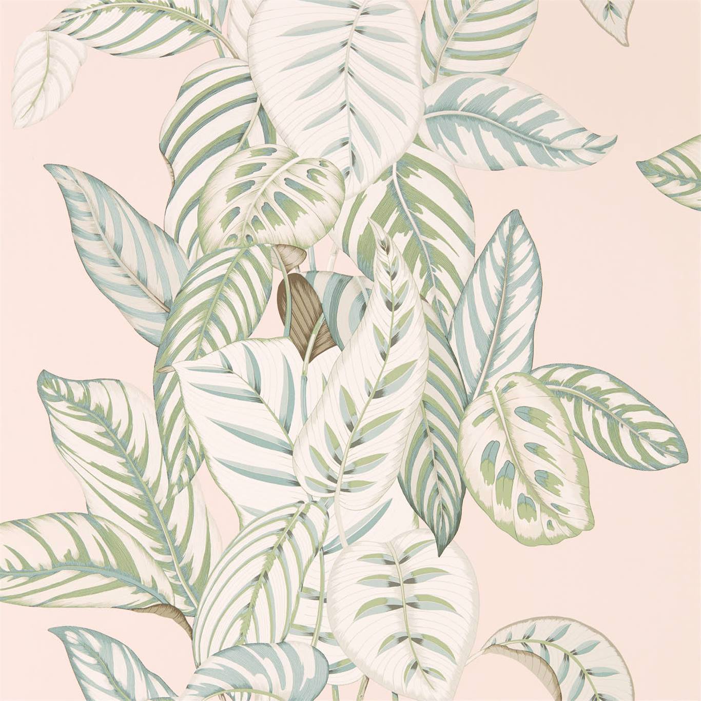 Calathea Orchid/Eucalyptus Wallpaper DGLW216632 by Sanderson