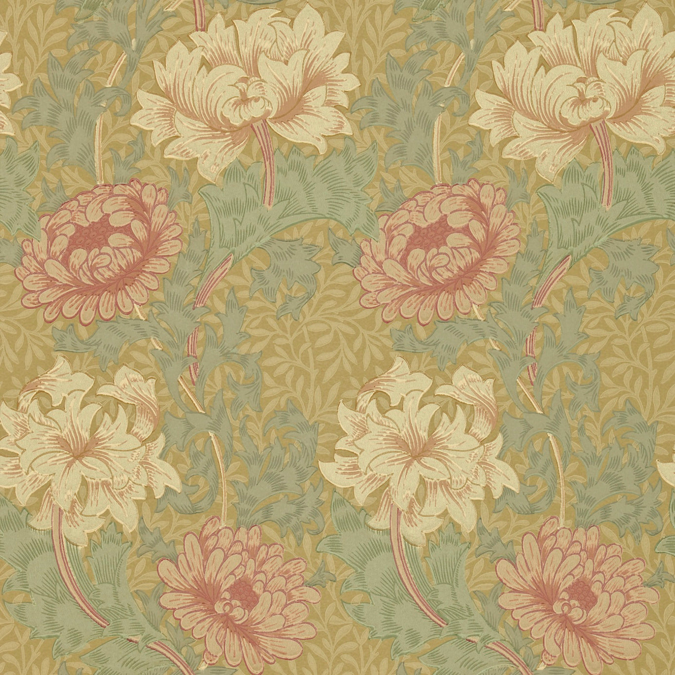 Chrysanthemum Wallpaper DGW1CY101 by Morris & Co