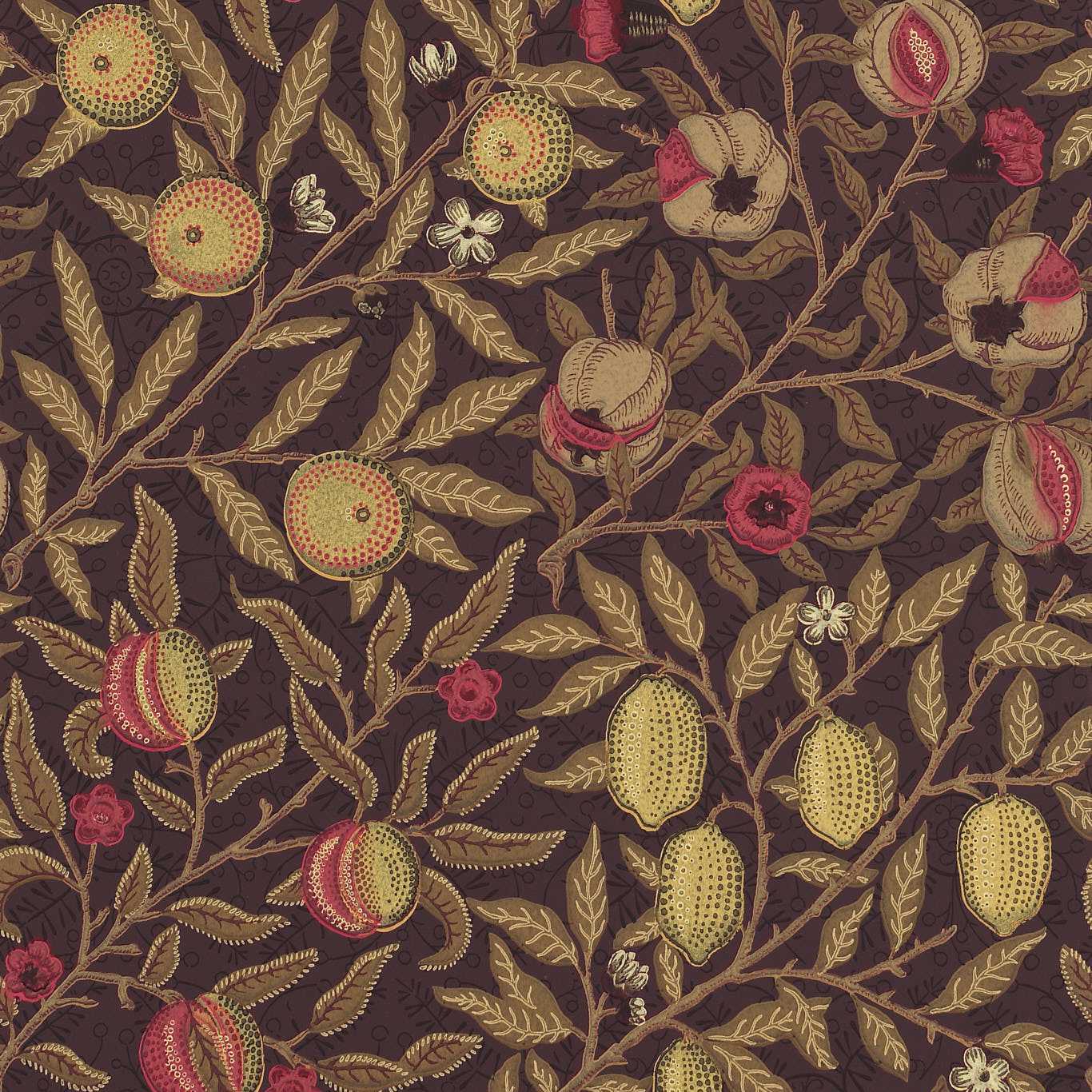 William Morris Fruit Wallpaper DM6P210397 by Morris & Co