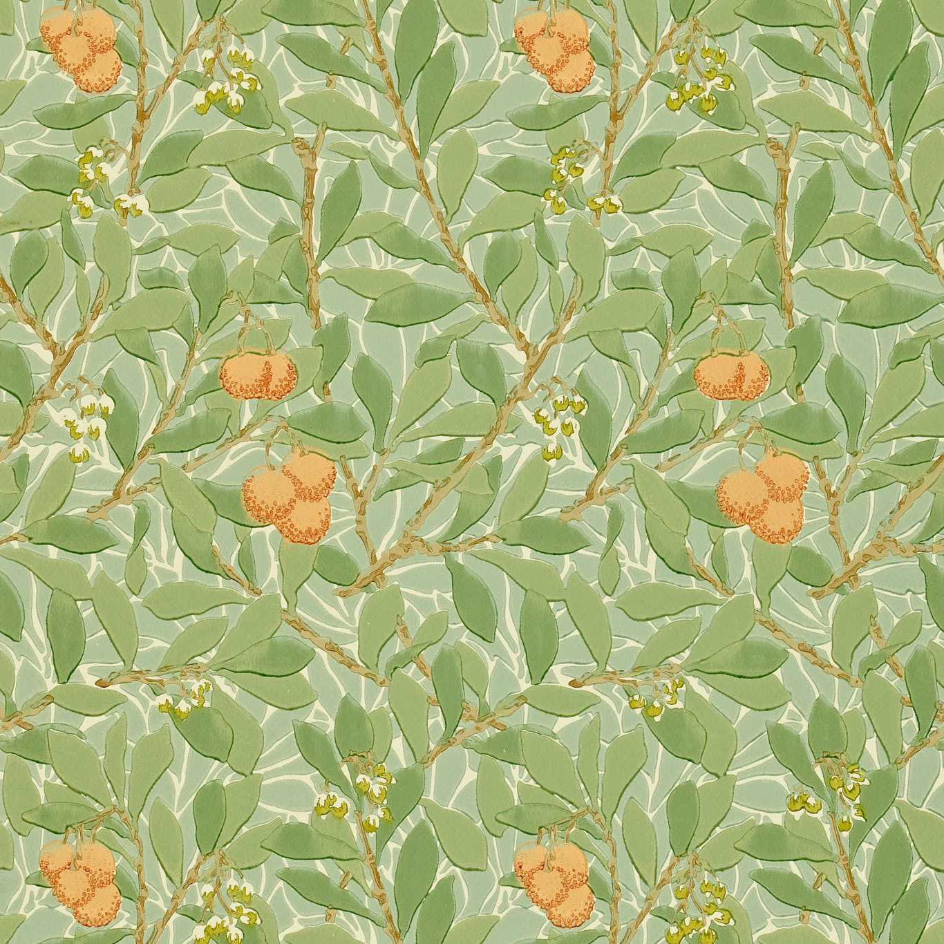 Arbutus Green/Terracotta Wallpaper DMCW210408 by Morris & Co