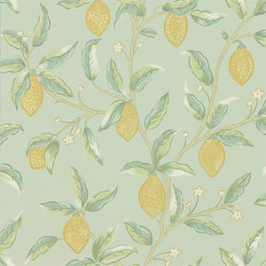 Lemon Tree Wallpaper DMSW216673 by Morris & Co