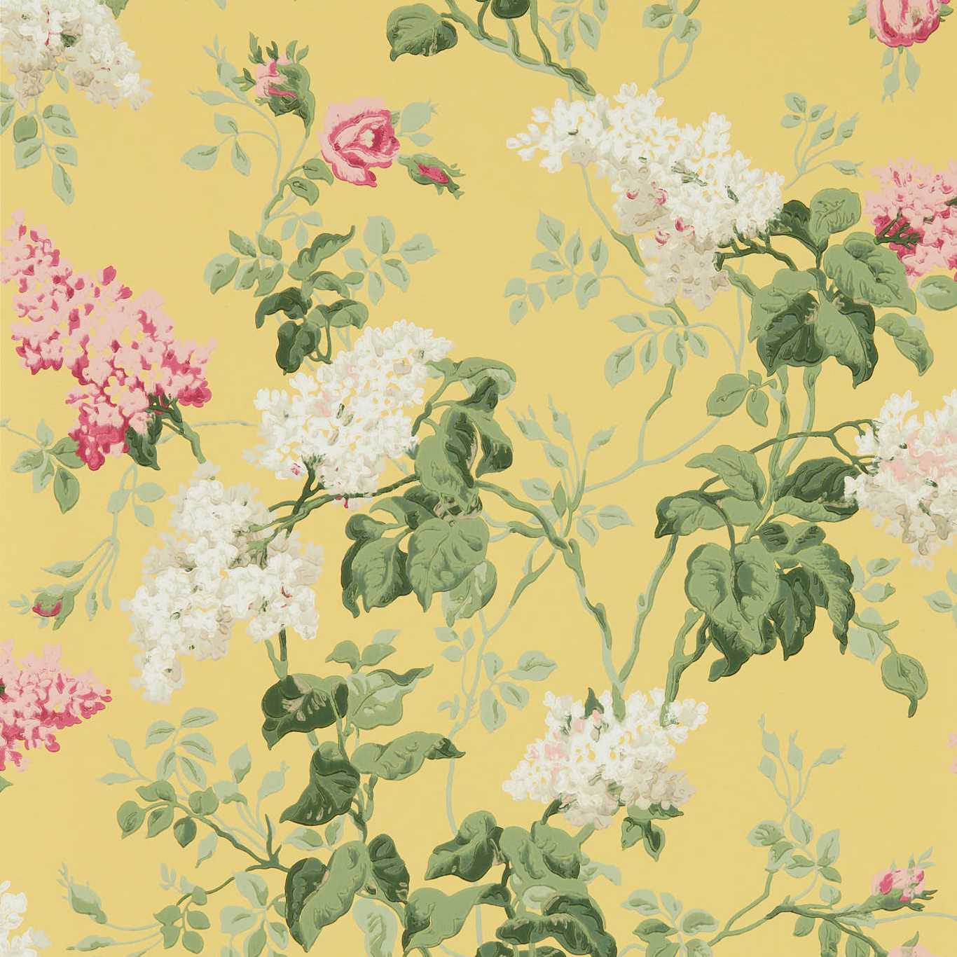 Sommerville Carmen/Daffodil Wallpaper DOSW217051 by Sanderson