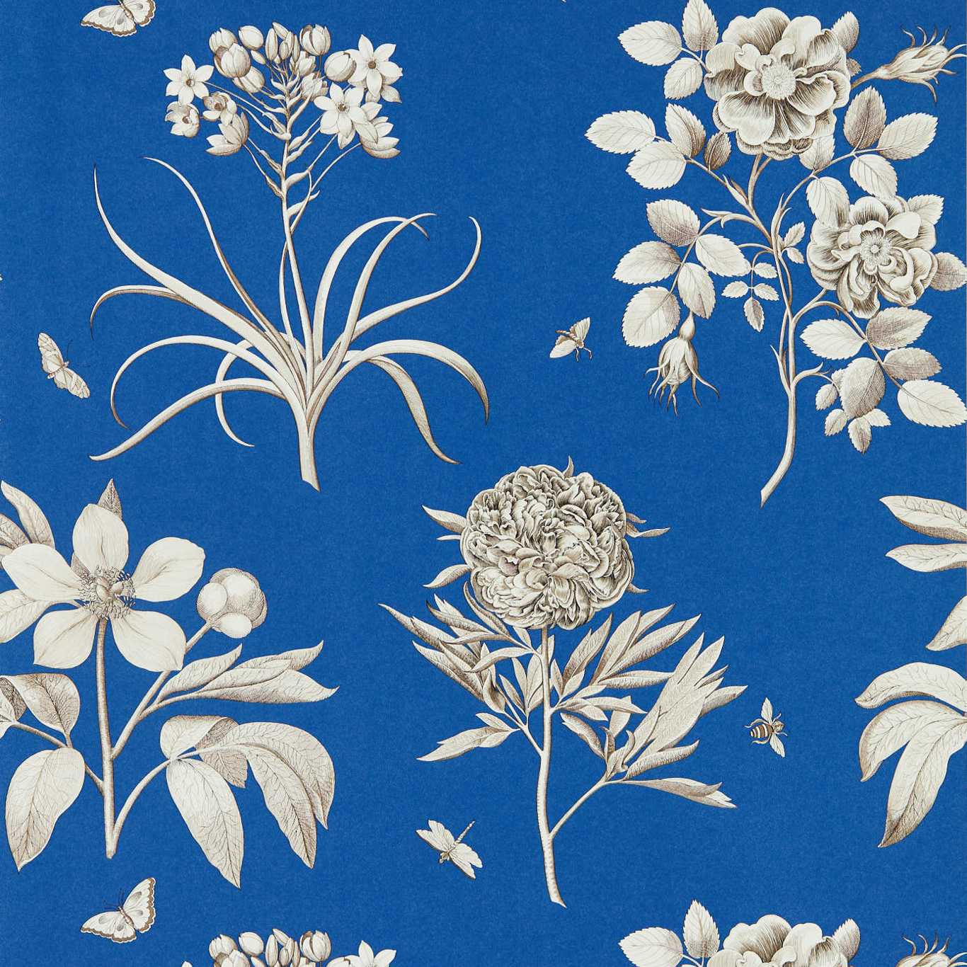 Etchings & Roses French Blue Wallpaper DOSW217053 by Sanderson