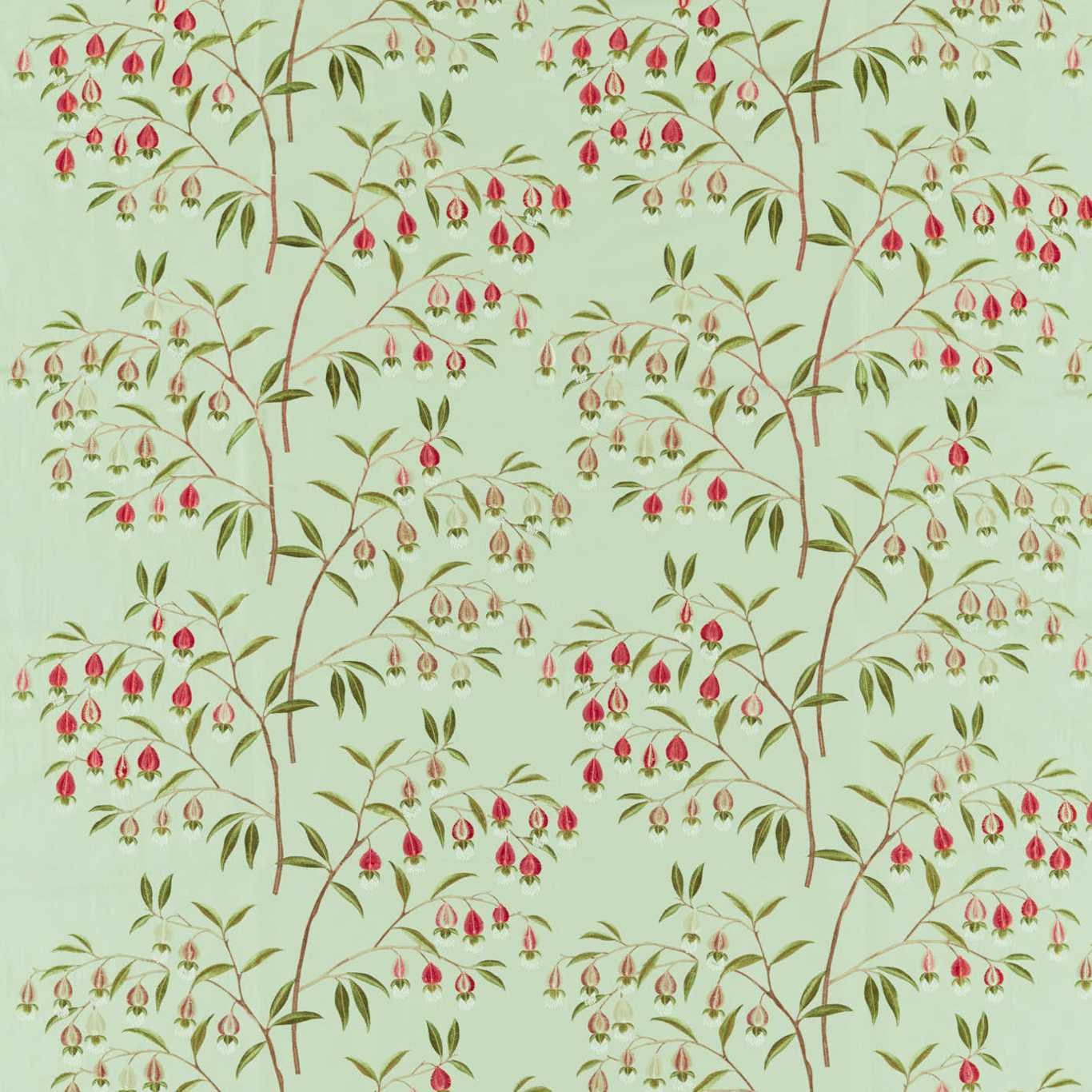 Chinese Lantern Mint and Apricot Fabric By Sanderson