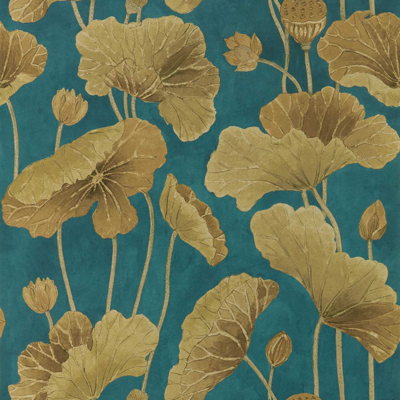 Lotus Leaf Midnight/Copper Wallpaper DWAW217127 by Sanderson