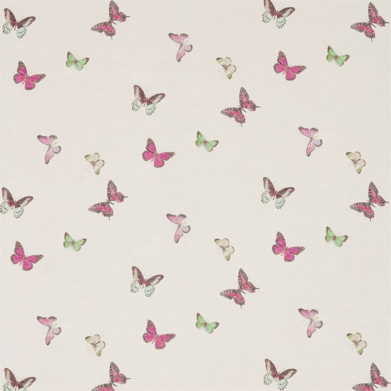 Butterfly Voile Fuchsia/Cream Fabric By Sanderson