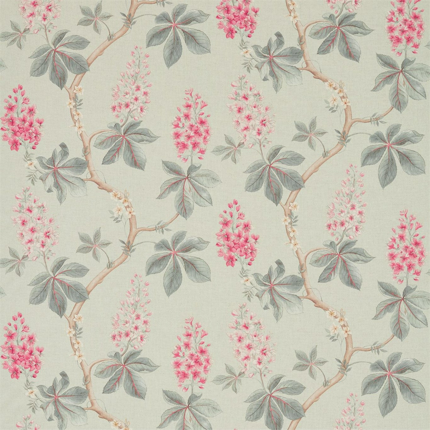 Chestnut Tree Seaspray/Peony Fabric By Sanderson