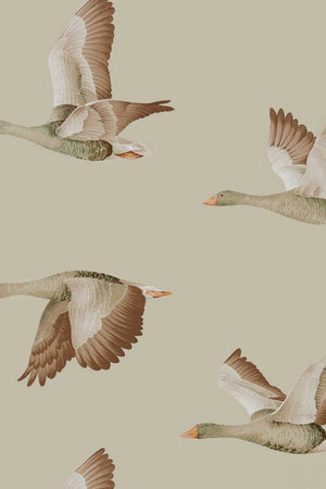 Elysian Geese (Wallpaper) Wallpaper DYSI216609 by Sanderson