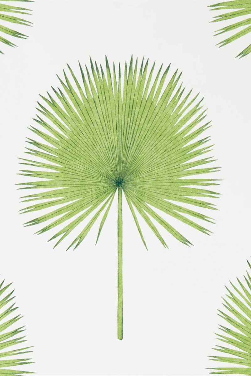 Fan Palm Wallpaper DGLW216636 by Sanderson