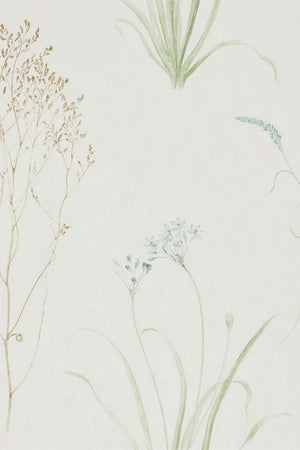 Farne Grasses Wallpaper DEBB216486 by Sanderson