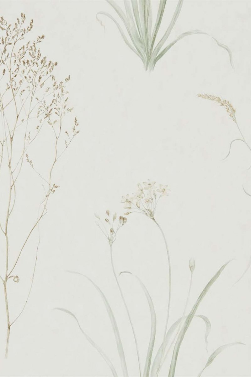 Farne Grasses Wallpaper DEBB216488 by Sanderson