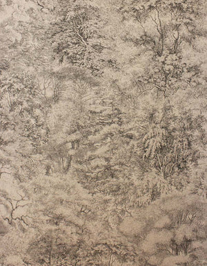 Folyo Wallpaper W6757-05 by Osborne & Little