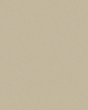 Goldstone Wallpaper 107-9042 by Cole & Son