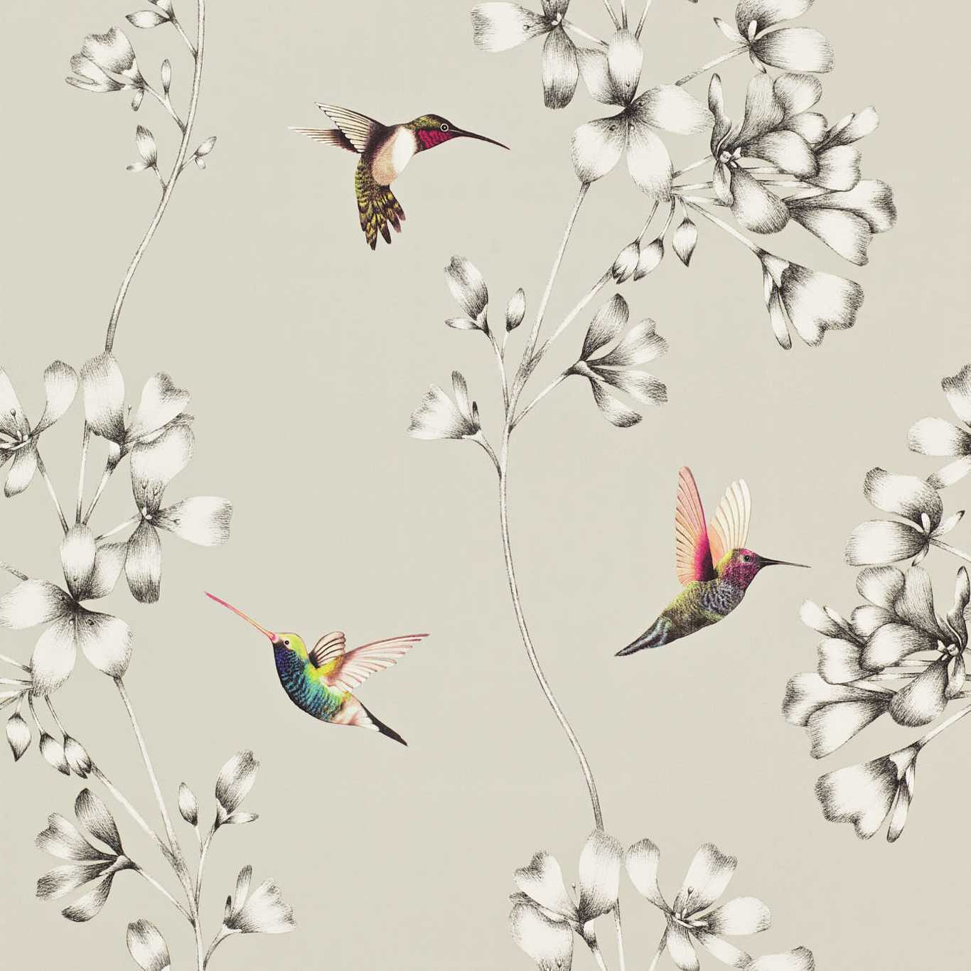 Amazilia Silver Wallpaper HAMA111062 by Harlequin