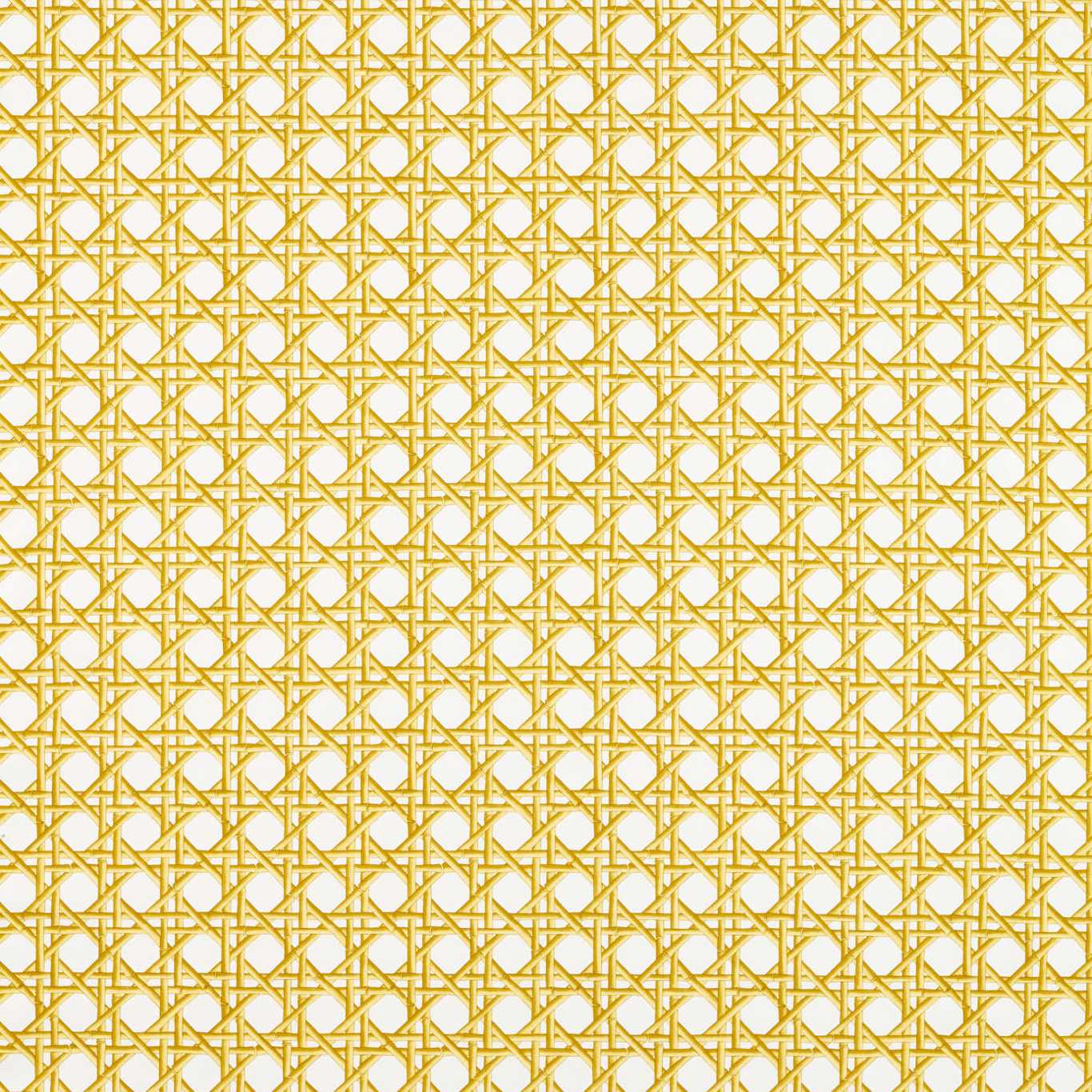 Lovelace Honey/Paper Lantern Fabric By Harlequin x Diane Hill
