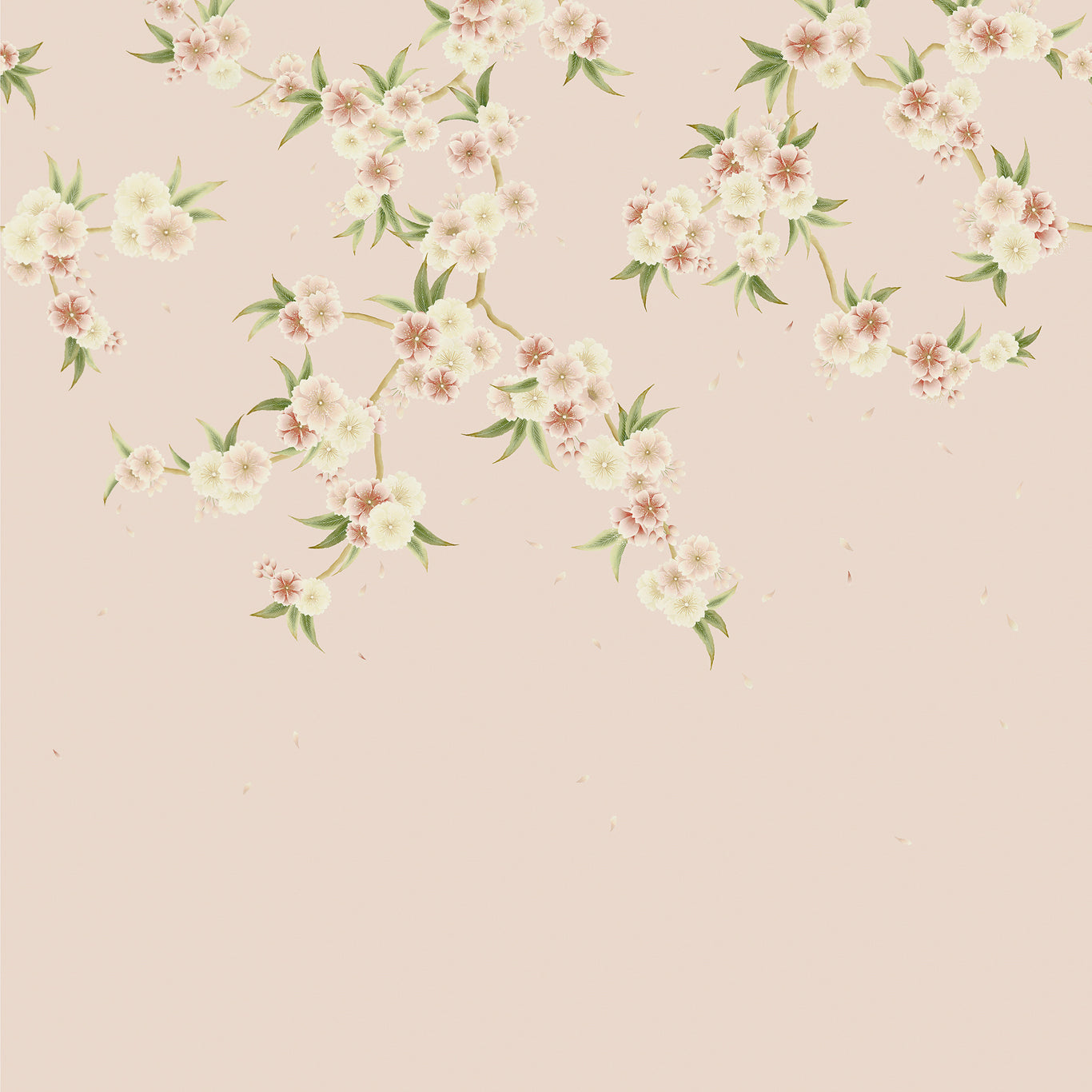 Rosa Blush Pearl/Peony/Meadow Wallpaper HDHW112887 by Harlequin