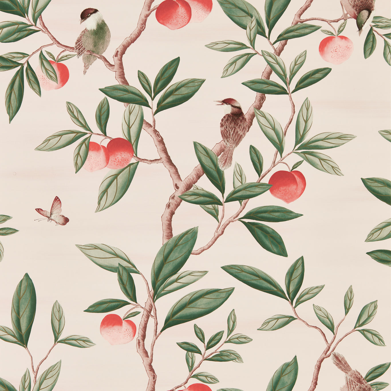 Ella Powder/ Sage / Peach Wallpaper HDHW112907 by Harlequin