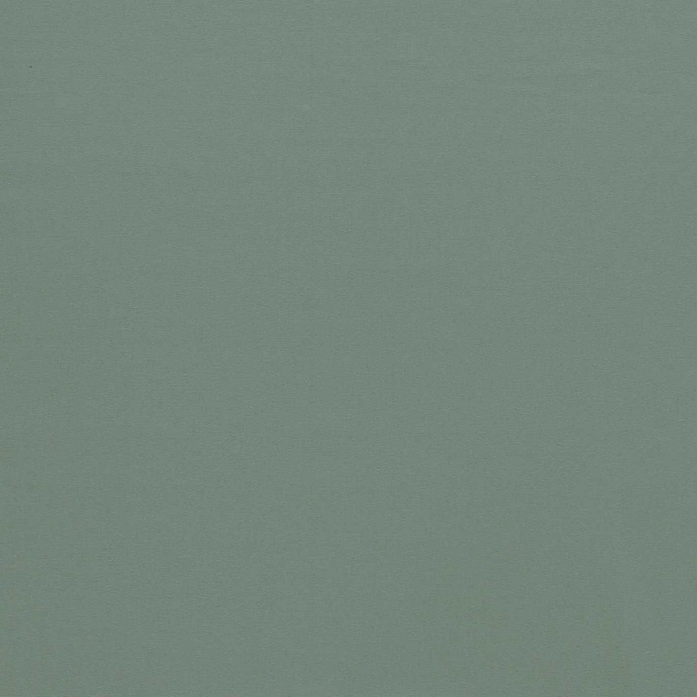 Empower Plain Euclyptus Fabric By Harlequin