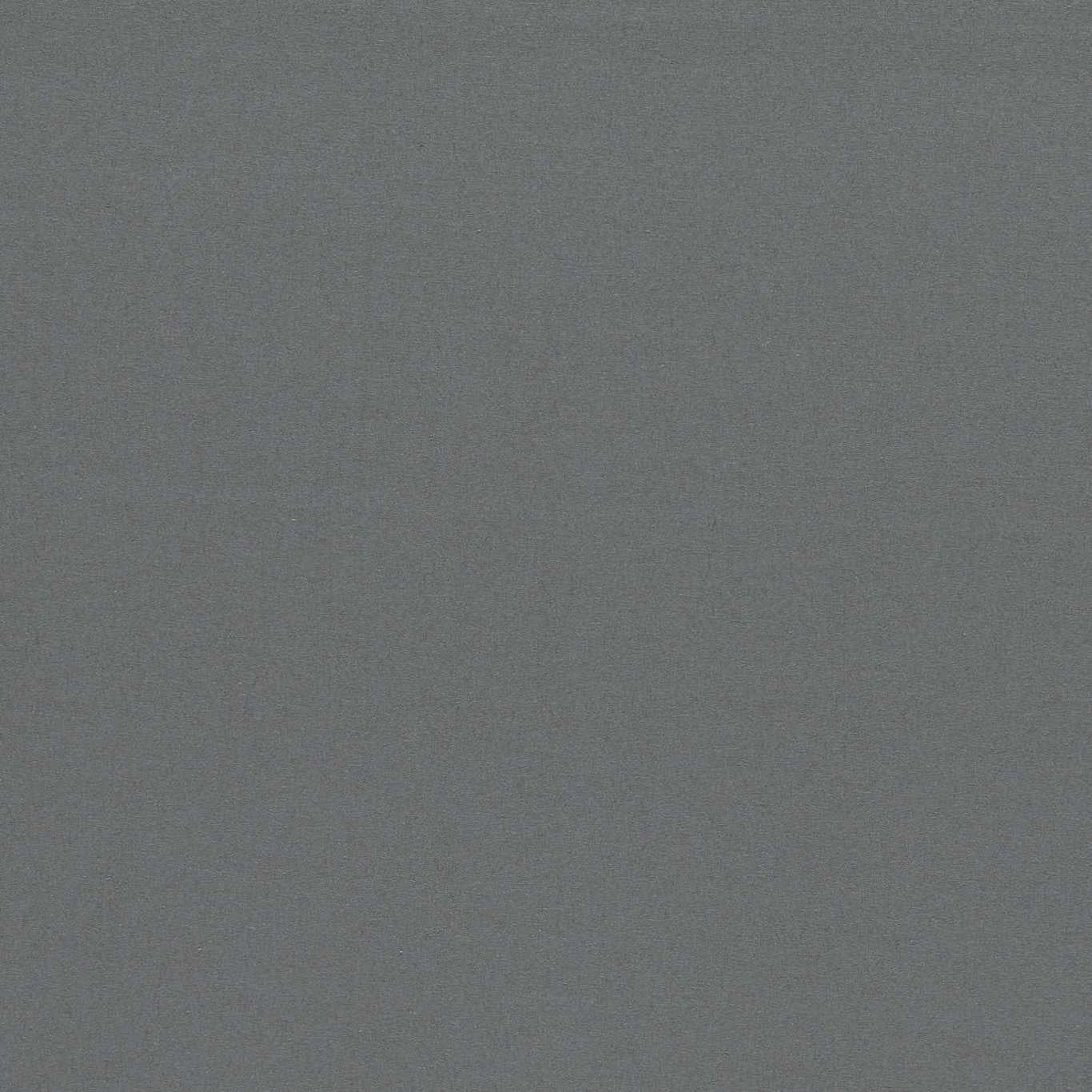 Empower Plain Etching Fabric By Harlequin