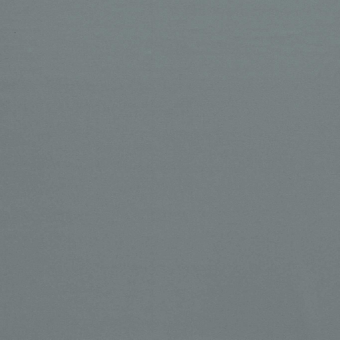 Empower Plain Elephant Grey Fabric By Harlequin