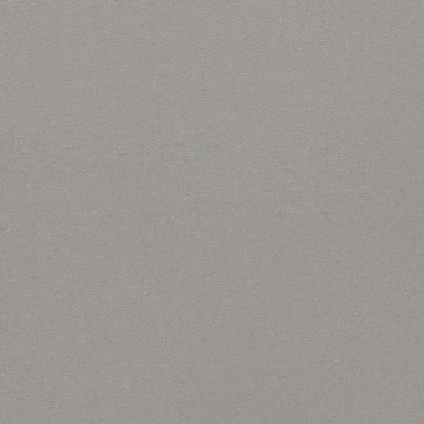 Empower Plain Feather Grey Fabric By Harlequin